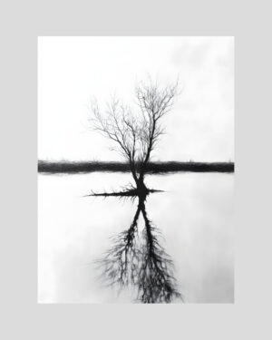 Affiche minimaliste en noir et blanc d’un arbre solitaire et de son reflet symétrique dans l’eau