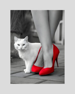 Affiche d’un chat blanc à côté de talons aiguilles rouges sur fond en noir et blanc