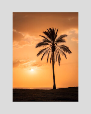 Affiche d’un palmier tropical au coucher du soleil sous un ciel orange lumineux