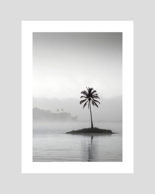 Affiche noir et blanc d’un palmier solitaire sur un îlot tropical dans la brume – paysage calme et zen