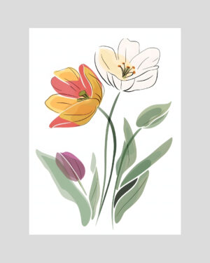 Affiche décorative de tulipes rouges, jaunes et blanches dessinées en ligne noire avec touches pastel sur fond blanc, style floral minimaliste